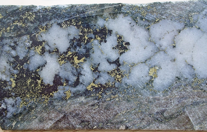 ELID021, 538.4 m from a sample interval reporting 0.62% Cu, 0.005% Mo, 3.9 g/t Ag. A 25 millimetre (“mm”) wide quartz vein (A vein) containing chalcopyrite, pyrite, magnetite, and molybdenite.  Host rock is feldspathic arenite with pervasive secondary biotite alteration.  Core is HQ diameter (63.5 mm).